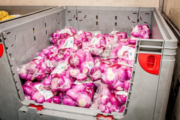 ONION