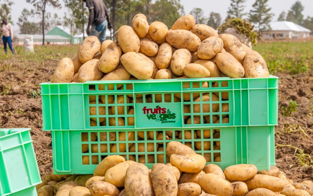 Potato Farm